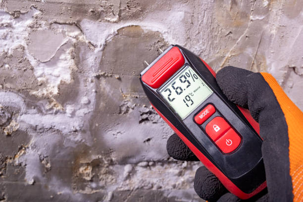 Best Industrial Mold Remediation in Redland, TX